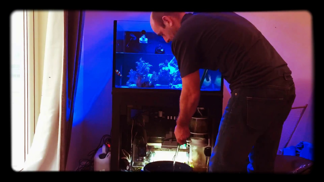 Marine tank strip down.