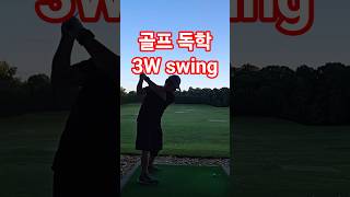 3번 우드 스윙 연습 3W swing practice #shorts #golfswing #3wswing #골프독학 #골프스윙연습기