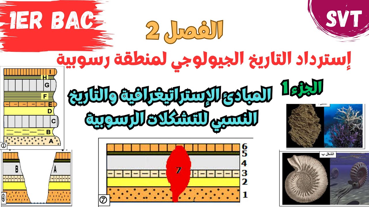 أولى باك | إسترداد التاريخ الجيولوجي لمنطقة رسوبية | الحصة 1 : المبادئ الإستراتيغرافية وخاصية التطبق
