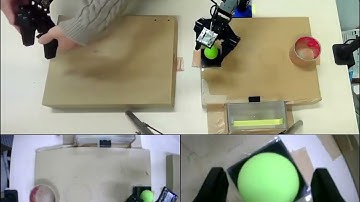 Bi-ACT: Data Collection of Foamball (real-time 1X)