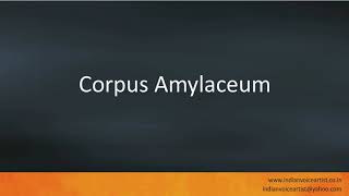 Pronunciation Of The Words Corpus Amylaceum.