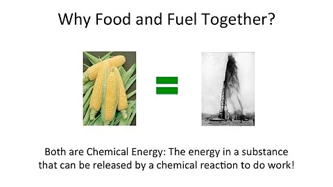 Food and Fuel for the 21st CenturyAlgae and the Gr...