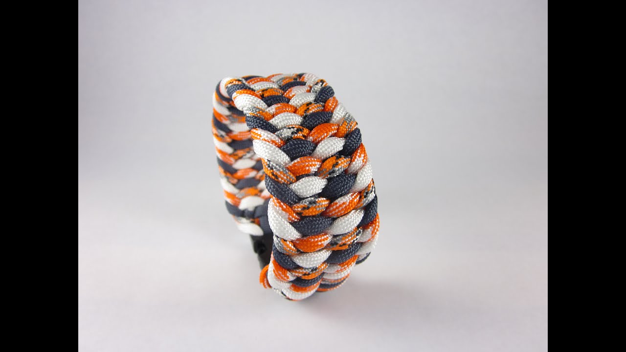 Farbenspiel Trilobite