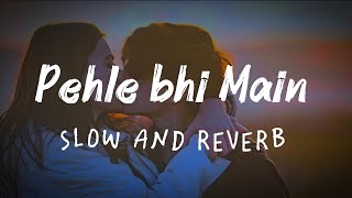 Pehle bhi Main || slow and reverb song || Animal movie song || ranveer kapoor || tripti dimri 