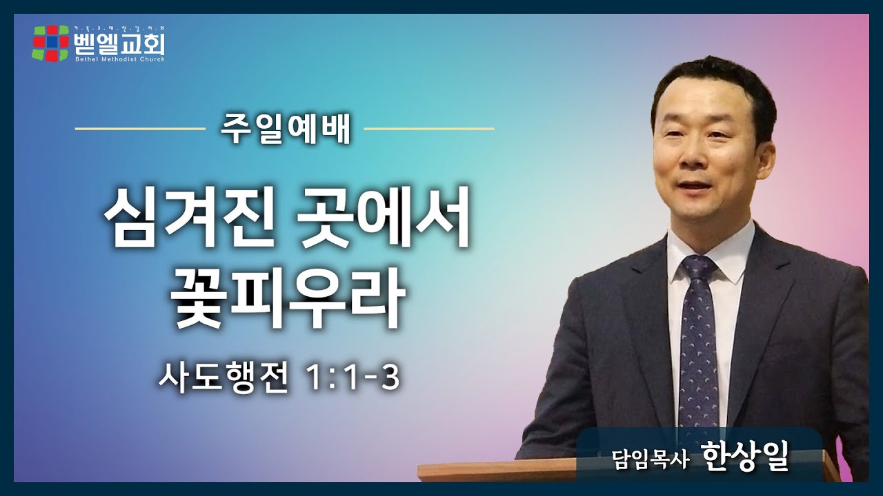 심겨진 곳에서 꽃피우라