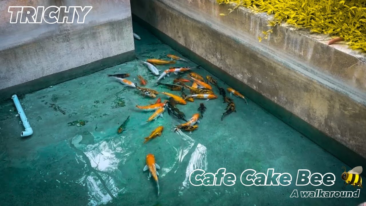 Cafe Cake Bee Trichy Just Jerrys YouTube