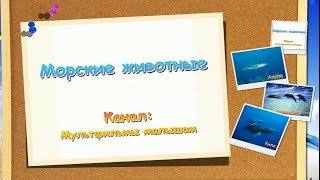 Развивающие уроки по методике Домана для детей от 6 месяцев - Морские животные