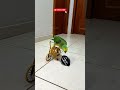 My parrot BEHIND THE SCENES #parrot #parrots #bike #bts #bmx #bikelife #pets #cycling #cyclist #meme