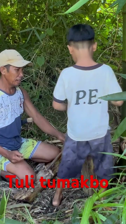 Tuli sa probinsya