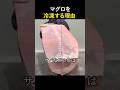 ⭐️200万回⭐️ マグロを冷凍する理由
