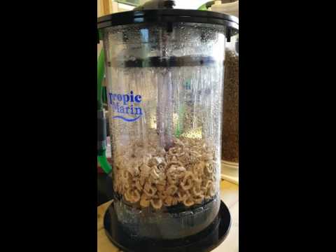 Woodfull 4 - TNOTB - Tropic Marin Bio Actif 5000 Reactor