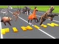 Animals running race horse races for kids  animals names and sounds  toys for children