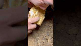The boy accidentally harvested the dog's head gold while exploring the treasure. #detecting