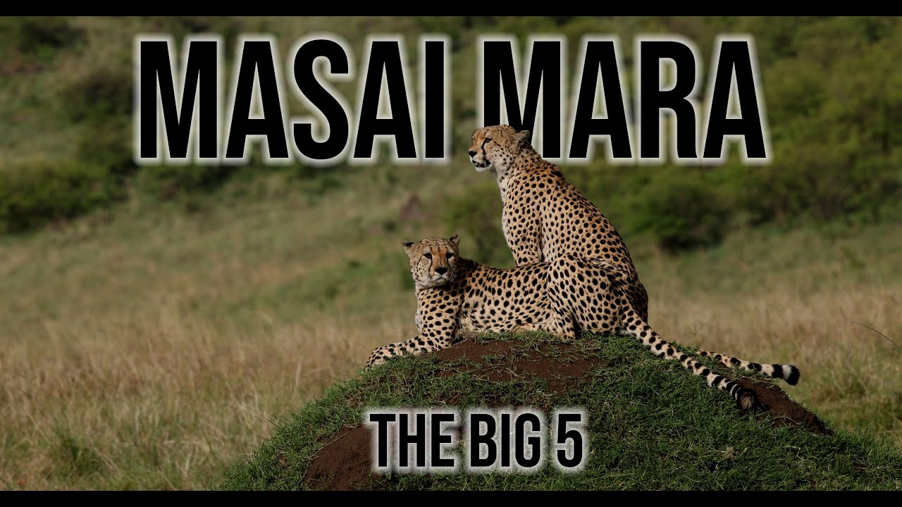 Latest Title & Thumbnail