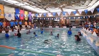 Baby Pool Sports Day 2019 - Session 4 - Dive For Rings