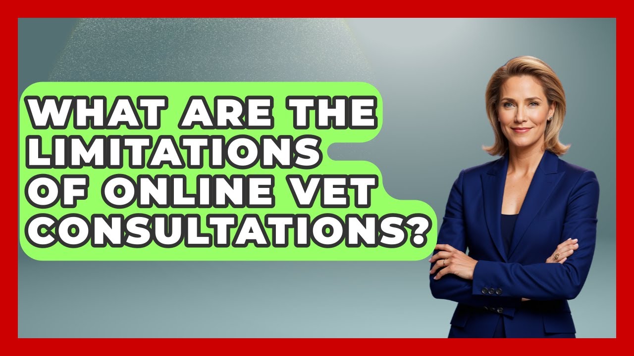 What Are the Limitations of Online Vet Consultations? | TeleVet Talk News