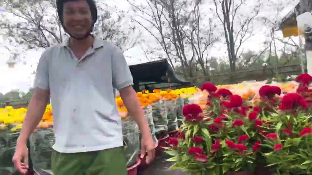 Chợ Hoa xứ dừa 24/12/(11/2/2026