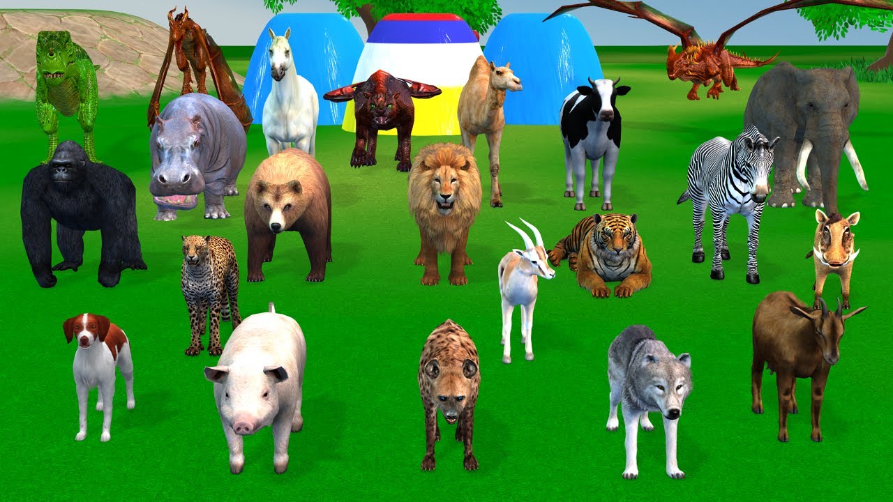 Long Slide Game With Cow Elephant Gorilla Hippopotamus Tiger 3d Animal Game Funny 3d Animals