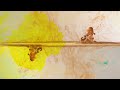 kidkanevil - Minjo (OFFICIAL VIDEO)