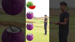 Rounding coconut to Grapes, Mango, lichi &Watermelon - Fruits names magic video