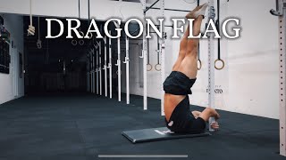 Famous DRAGON FLAG | IMPACT PERFORMANCE Net Worth