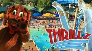 Read our whole new summer series blog "slide into fun" schlitterbahn:
https://thrillz.co/blog/ this year schlitterbahn celebrates a
fifty-year traditi...
