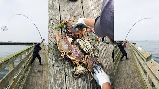 crabbing with fishing pole Crabbing With A Fishing Rod Is Way More Efficient | How to Crabbing off A  Fishing Pier