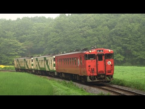 キハ40 1000番台の2連と3連。（烏山線、珍しく汽笛あり）