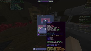 some wierd bug i found on hypixel skyblock