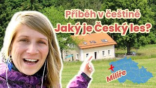 Příběh v češtině (18): Jaký je Český les, kousek od Plzně? (CZE subtitles)