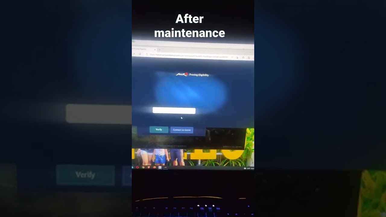 mir4 verification problem