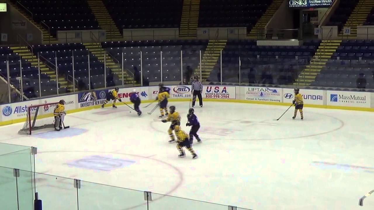 River hawks Game - January 3, 2015
