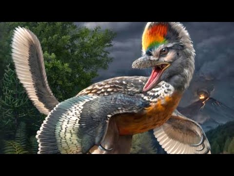 Is This the Missing Link Between Dinosaurs and Birds?