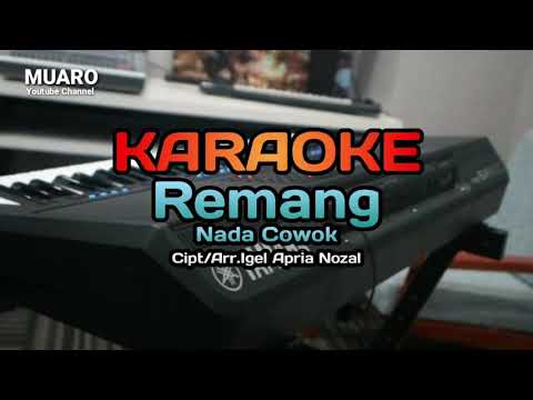REMANG (VIRAL KEMBALI) Cipt. Igel A N, Cover. JONHENDRI YON ||HaNan Official Studio || Lagu Kerinci