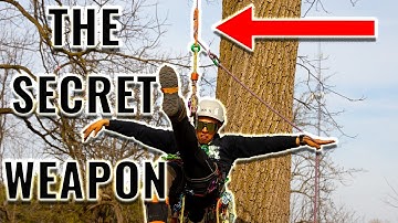 Tree Climbing Technique: The Secret Weapon!