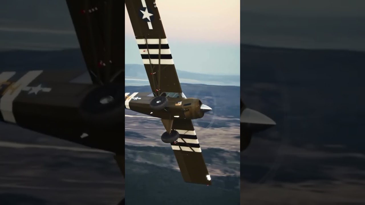 What LIVING THE DREAM looks like.