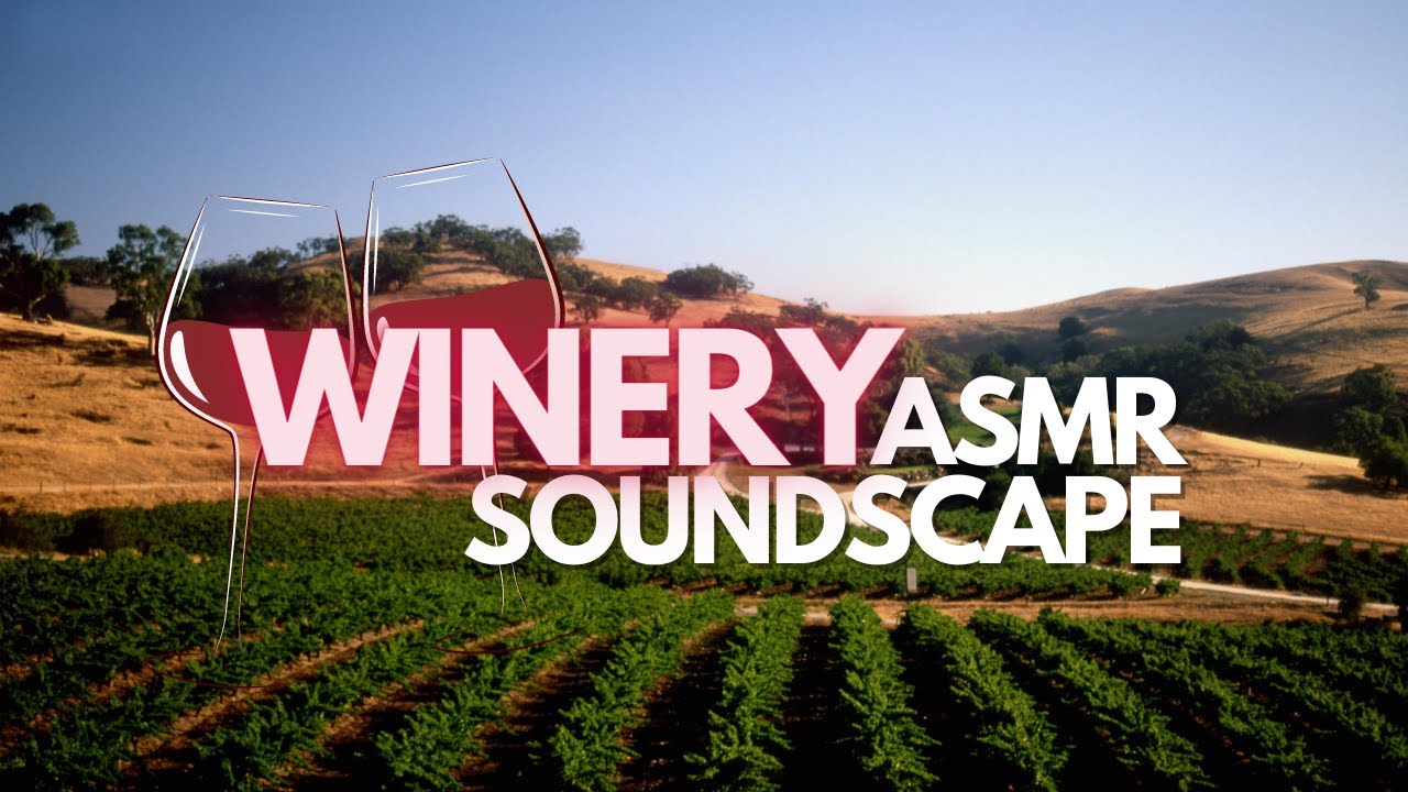 Wine Country Bliss: 🍷 Tranquil Asmr And Ambient Tunes For A Serene Afternoon