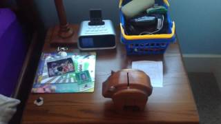 Wooden Pig Gets Grounded On Thanksgiving