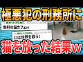 【更正】刑務所「いい事したら猫に触らせてあげるで」⇒結果【2ch面白いスレ】
