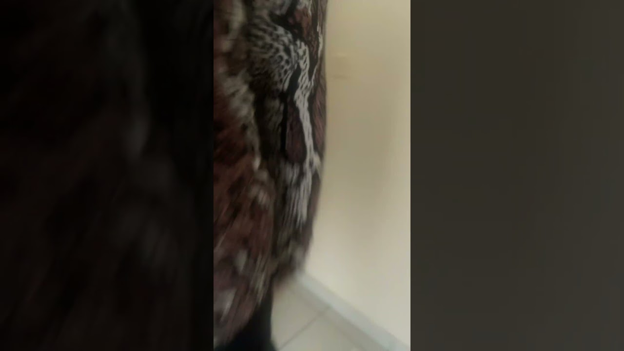 kone ecodisc with keyswitch ￼