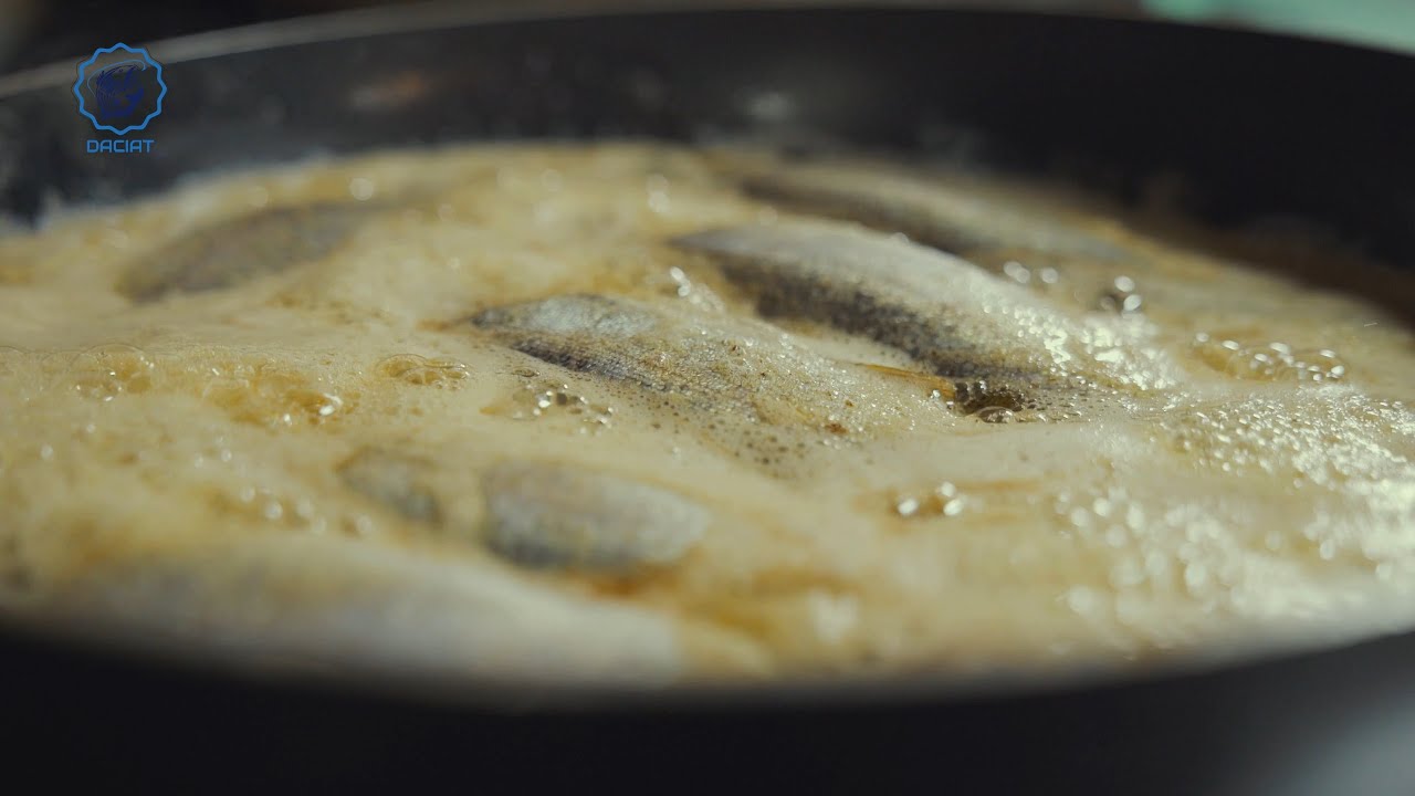 Karadeniz'de Alabalık Yetiştiriciliği 4K