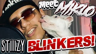 STIIIZY BLINKERS! (Life Update)