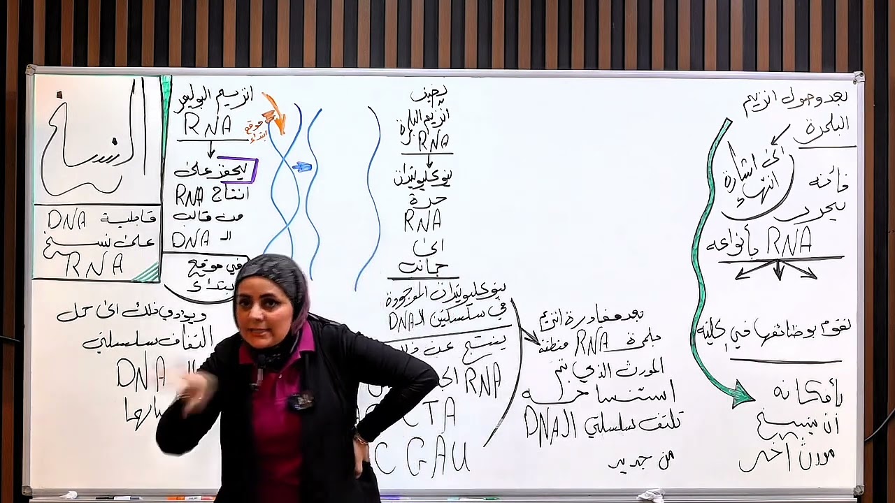 ست نورا الدايني فصل الوراثه المحاضره رقم 19