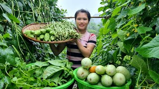 Harvest Garden Vegetables, Melons, Beans, Bitter Melon Bring to the market to sell | Trieu Thi Thuy