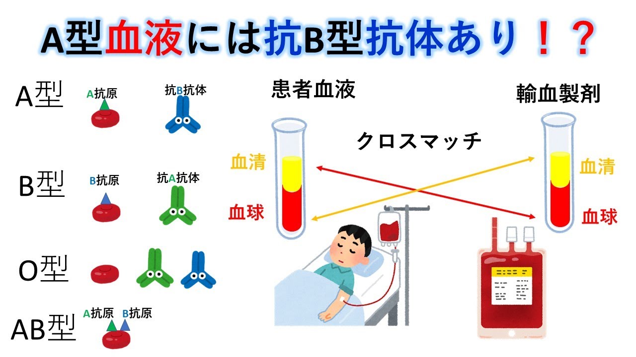 交差 適合 試験