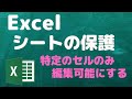 【書き換え防止】シートの保護機能でExcelのデータに編集制限を【YouTubeパソコン教室】
