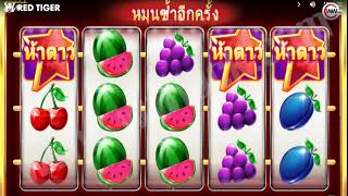 เกมส์สล็อต five star screenshot 4