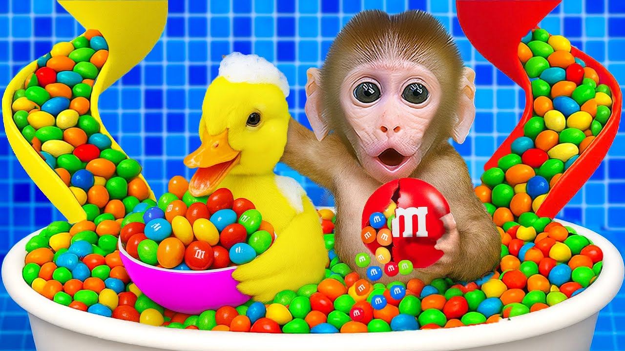 Macaco BinBin e a Viagem Misteriosa: Do supermercado automóvel à banheira de doces coloridos