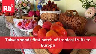 Taiwan targets Europe with first shipment of premium fruits  | Taiwan News | RTI
