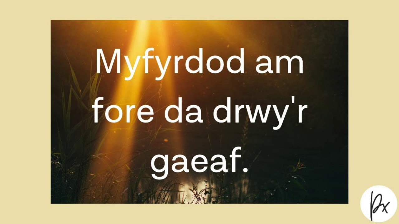 Myfyrdod : Delweddu bore da a hapus